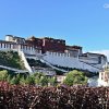 农民的头像