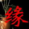 缘来是你的头像