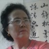 兰的头像