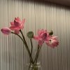 う你的微光~的头像