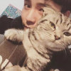 房东的猫的头像