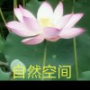 自然空间的头像