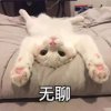 笔芯的头像