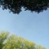 暖如春至的头像