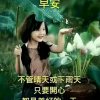 明月几时有的头像