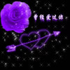 菜菜的头像