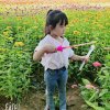 华临国际的头像