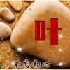 叶子【退出】的头像