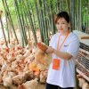 豆豆（没有关注请勿扰）的头像