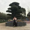 林的头像