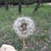 风轻云淡的头像