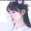 水滴的头像