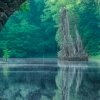 平淡的头像