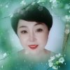 。曲苑风荷的头像