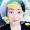 莲芯的头像