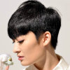 52赫兹的的头像