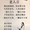 梦梦的头像