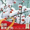 傲雪寒梅的头像