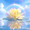 云水禅心的头像