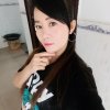 梅花鹿的头像