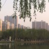 无名的头像