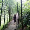 淡墨清香的头像