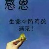 为你而来《流星贵族》的头像