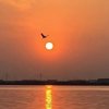 Sun太阳༄ེ࿐《休息》的头像