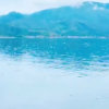 山清水秀的头像