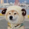 Bubbleº的头像