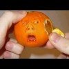 ╭(╯ε╰)╮醜侽秂的头像