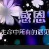 执着的头像