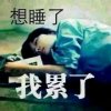 ☜♚天飞姜彪♚☞的头像