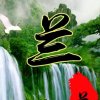 开心果的头像