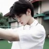 拉鸡全民的头像