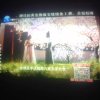 随心所欲的头像