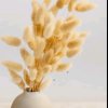流星雨的头像