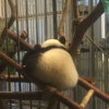 瑾瑾瑾瑾的头像