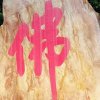 姐的fer学不起的头像