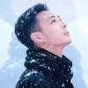 雪狼 顺其自然的头像