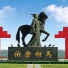 天涯浪子的头像