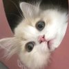 Jelly的头像