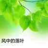 ！！平凡的我！！的头像