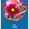 冰雪百合的头像