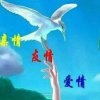 丁丁（封号）的头像