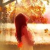秋暖枫红的头像