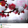 冬梅的头像