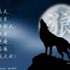 孤独狼的头像