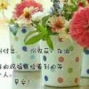 南卉的头像