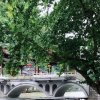 小苹果的头像